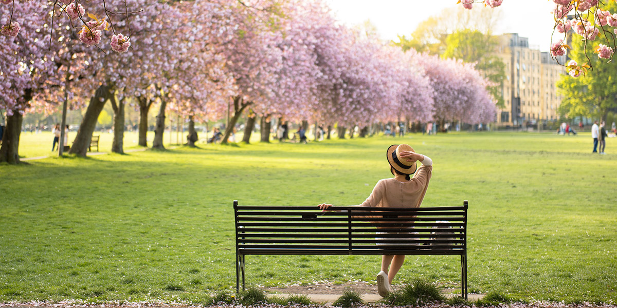 The Meadows Edinburgh