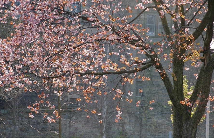 Edinburgh in Spring