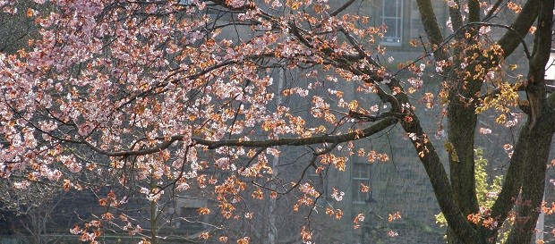 Edinburgh in spring