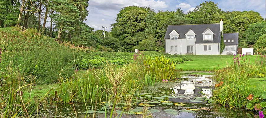 Little Haugh gardens and pond