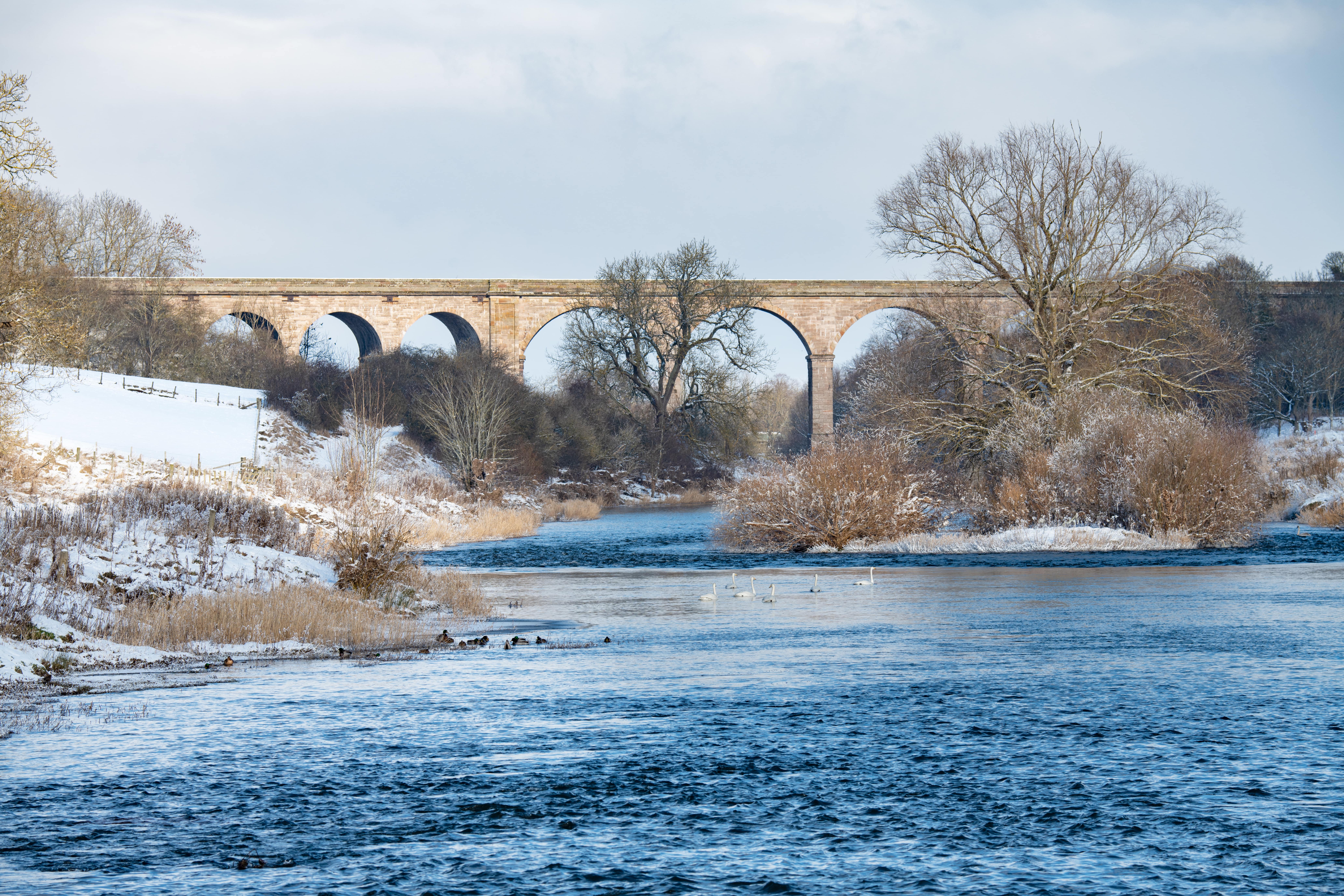 roxburgh viaduct scottish borders